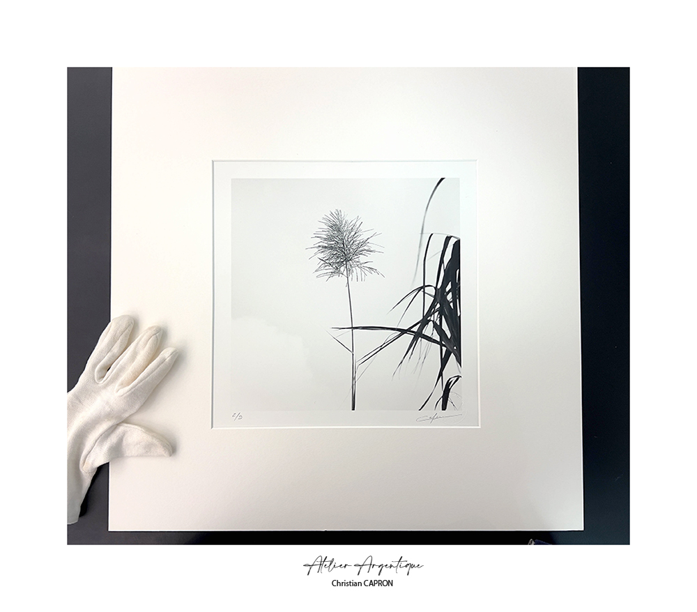 Minimalisme Tirage argentique Christian CAPRON