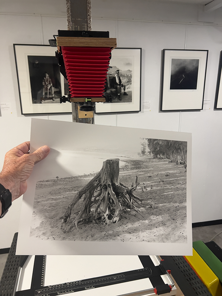 tirage de lecture avec la chambre Intrepid 4 x 5 . Christian CAPRON Photographie