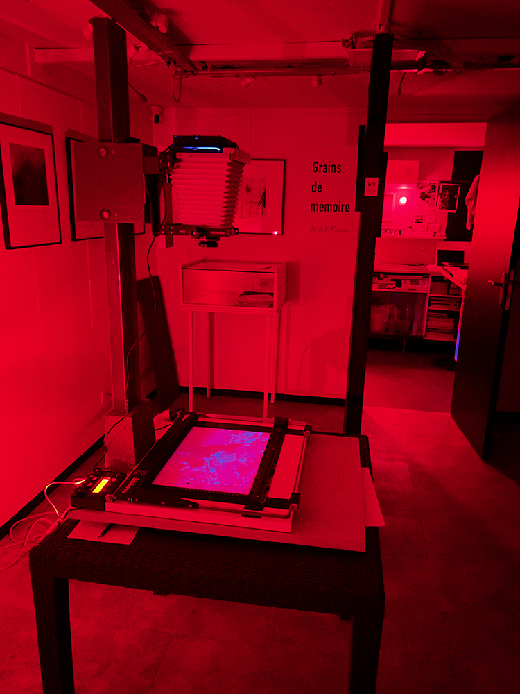 Chambre Intrepid 4 X 5 en position agrandisseur. C.CAPRON Photographie